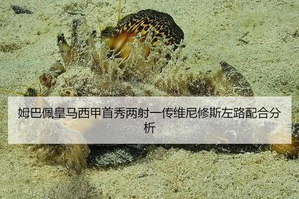 mu-ba-pei-huang-ma-xi-jia-shou-xiu-liang-she-yi-chuan-wei-ni-xiu-si-zuo-lu-pei-he-fen-xi-2-397.jpg
